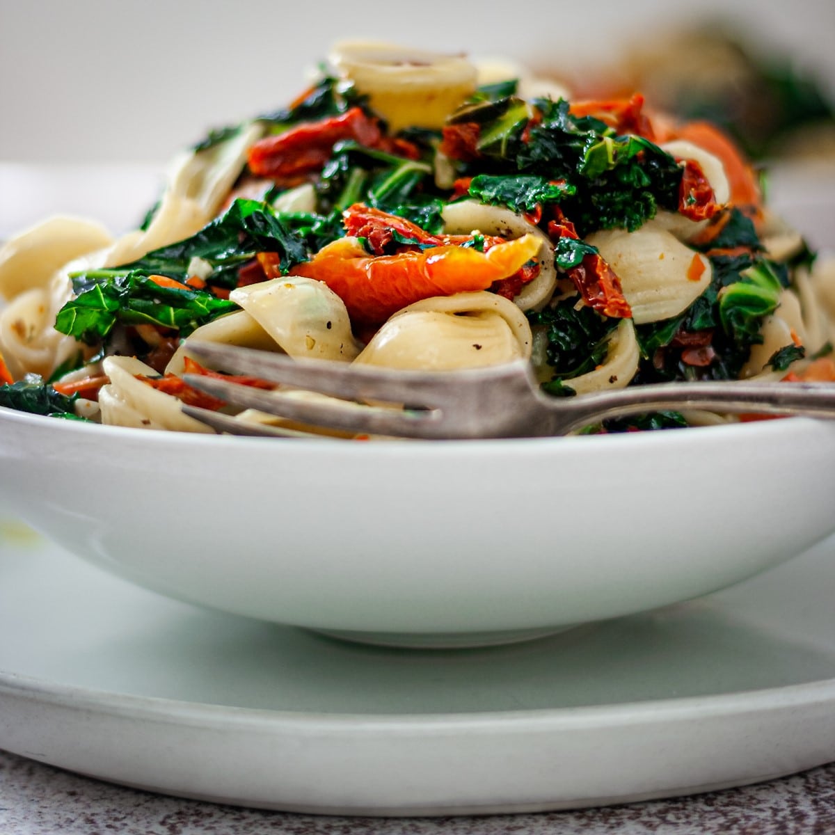 closeup view of sun dried tomato and kale pasta